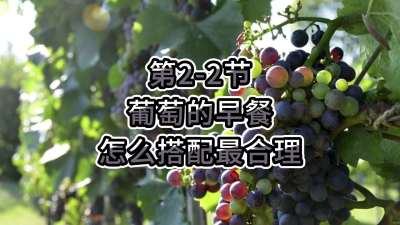 第2-2节-葡萄的早餐，怎么搭配最合理？
