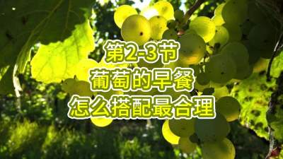 第2-3节-葡萄的早餐，怎么搭配最合理？