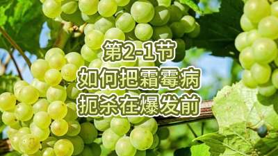 第2-1节-如何把霜霉病扼杀在爆发前