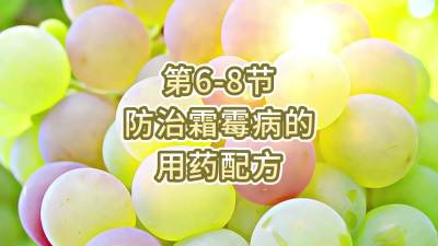 第6-8节-防治霜霉病的用药配方