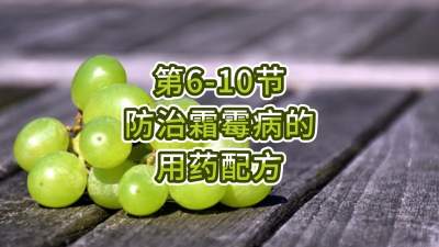 第6-10节-防治霜霉病的用药配方
