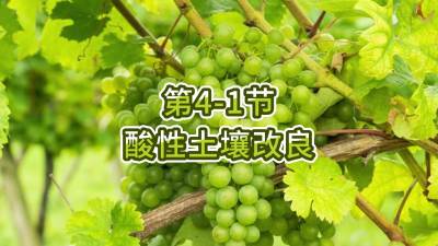 第4-1节-酸性土壤改良