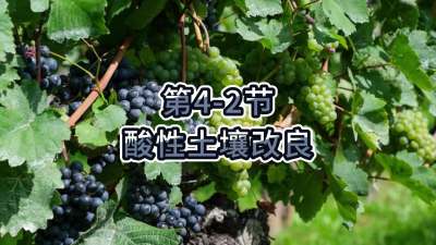 第4-2节-酸性土壤改良