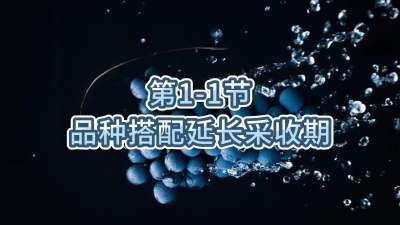 第1-1节-品种搭配延长采收期
