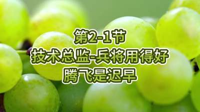 第2-1节-技术总监-兵将用得好，腾飞是迟早