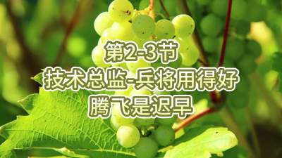 第2-3节-技术总监-兵将用得好，腾飞是迟早