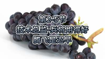 第2-5节-技术总监-兵将用得好，腾飞是迟早