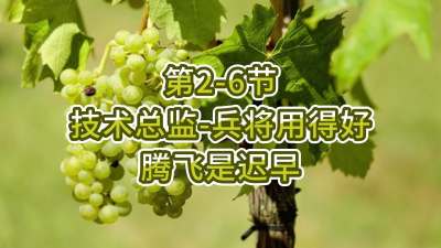 第2-6节-技术总监-兵将用得好，腾飞是迟早