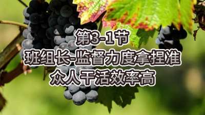 第3-1节-班组长-监督力度拿捏准，众人干活效率高