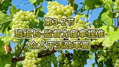 第3-2节-班组长-监督力度拿捏准，众人干活效率高