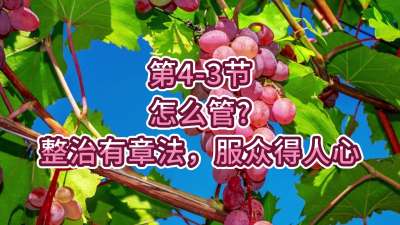 第4-3节-怎么管？整治有章法，服众得人心