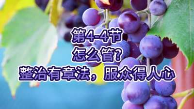 第4-4节-怎么管？整治有章法，服众得人心