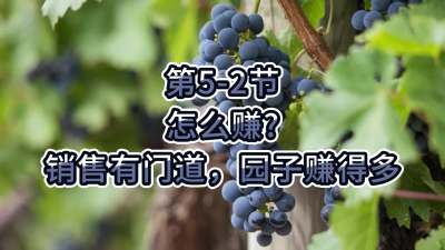 第5-2节-怎么赚？销售有门道，园子赚得多