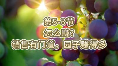 第5-3节-怎么赚？销售有门道，园子赚得多