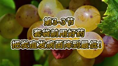 第3-3节-套袋前用好药，把炭疽发病菌降到最低！