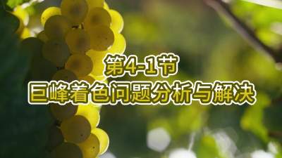第4-1节-巨峰着色问题分析与解决