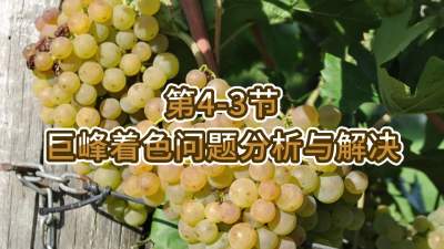 第4-3节-巨峰着色问题分析与解决