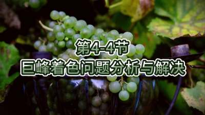 第4-4节-巨峰着色问题分析与解决