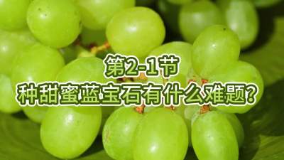 第2-1节-种甜蜜蓝宝石有什么难题？