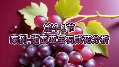 第4-1节-案例-甜蜜蓝宝石成花分析