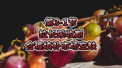 第3-1节-拉长采收期，合理填补市场空缺