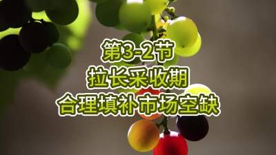 第3-2节-拉长采收期，合理填补市场空缺
