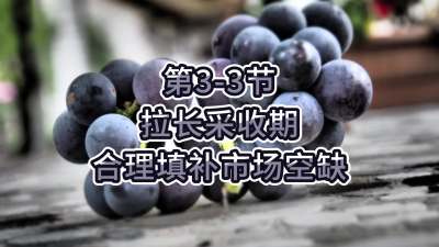 第3-3节-拉长采收期，合理填补市场空缺