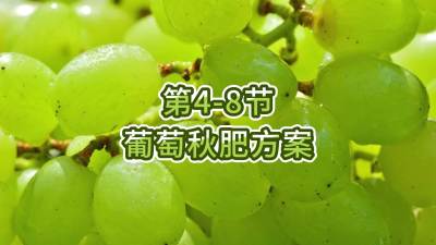 第4-8节-葡萄秋肥方案