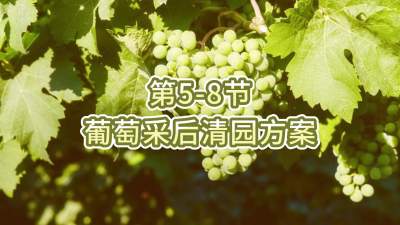 第5-8节-葡萄采后清园方案