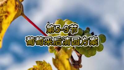 第5-9节-葡萄采后清园方案