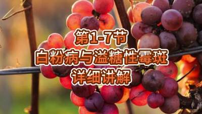 第1-7节-白粉病与溢糖性霉斑详细讲解
