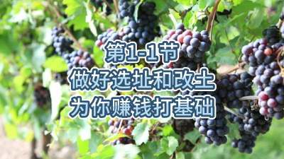 第1-1节-做好选址和改土，为你赚钱打基础