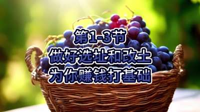 第1-3节-做好选址和改土，为你赚钱打基础