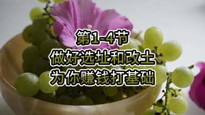 第1-4节-做好选址和改土，为你赚钱打基础