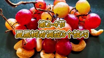 第2-4节-夏黑树势调控3个技巧