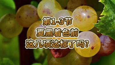 第1-3节-夏黑着色前，这几项达标了吗？