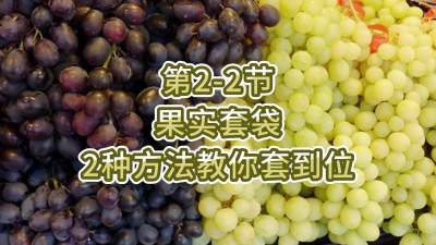 第2-2节-果实套袋-2种方法教你套到位