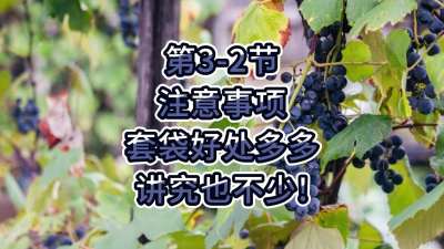 第3-2节-注意事项-套袋好处多多，讲究也不少！