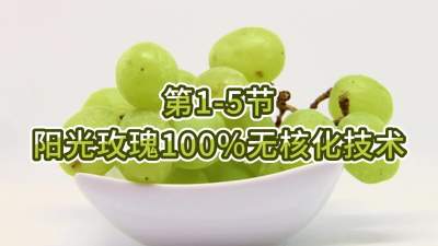第1-5节-阳光玫瑰100%无核化技术