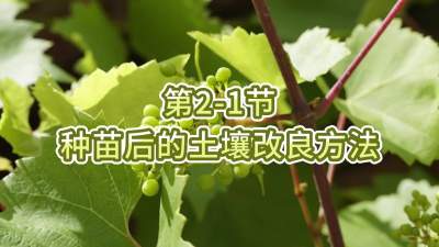 第2-1节-种苗后的土壤改良方法
