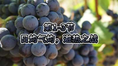 第1-3节-日灼气灼，避热之战