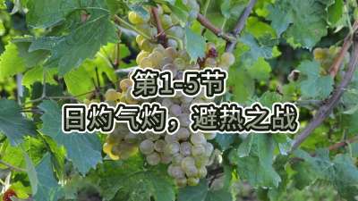 第1-5节-日灼气灼，避热之战