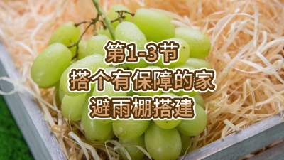 第1-3节-搭个有保障的家---避雨棚搭建