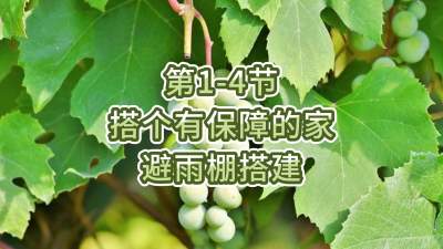 第1-4节-搭个有保障的家---避雨棚搭建