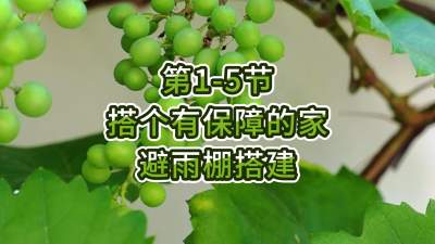 第1-5节-搭个有保障的家---避雨棚搭建