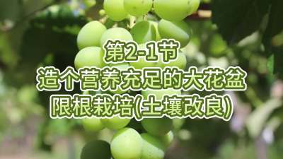 第2-1节-造个营养充足的大花盆---限根栽培（土壤改良）
