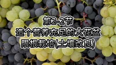第2-2节-造个营养充足的大花盆---限根栽培（土壤改良）