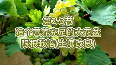 第2-3节-造个营养充足的大花盆---限根栽培（土壤改良）