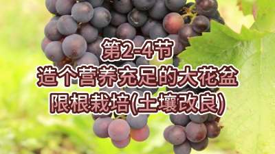 第2-4节-造个营养充足的大花盆---限根栽培（土壤改良）