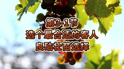 第3-1节-选个最合适的客人---良砧壮苗选择
